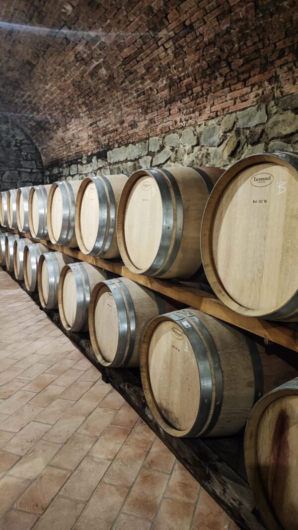Wine Tour Chianti - Imagem 5